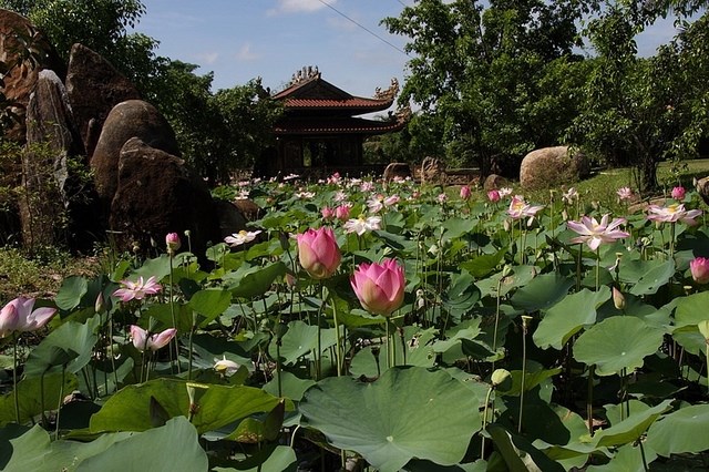 Ao sen trong khuôn viên khu du lịch Long Điền Sơn