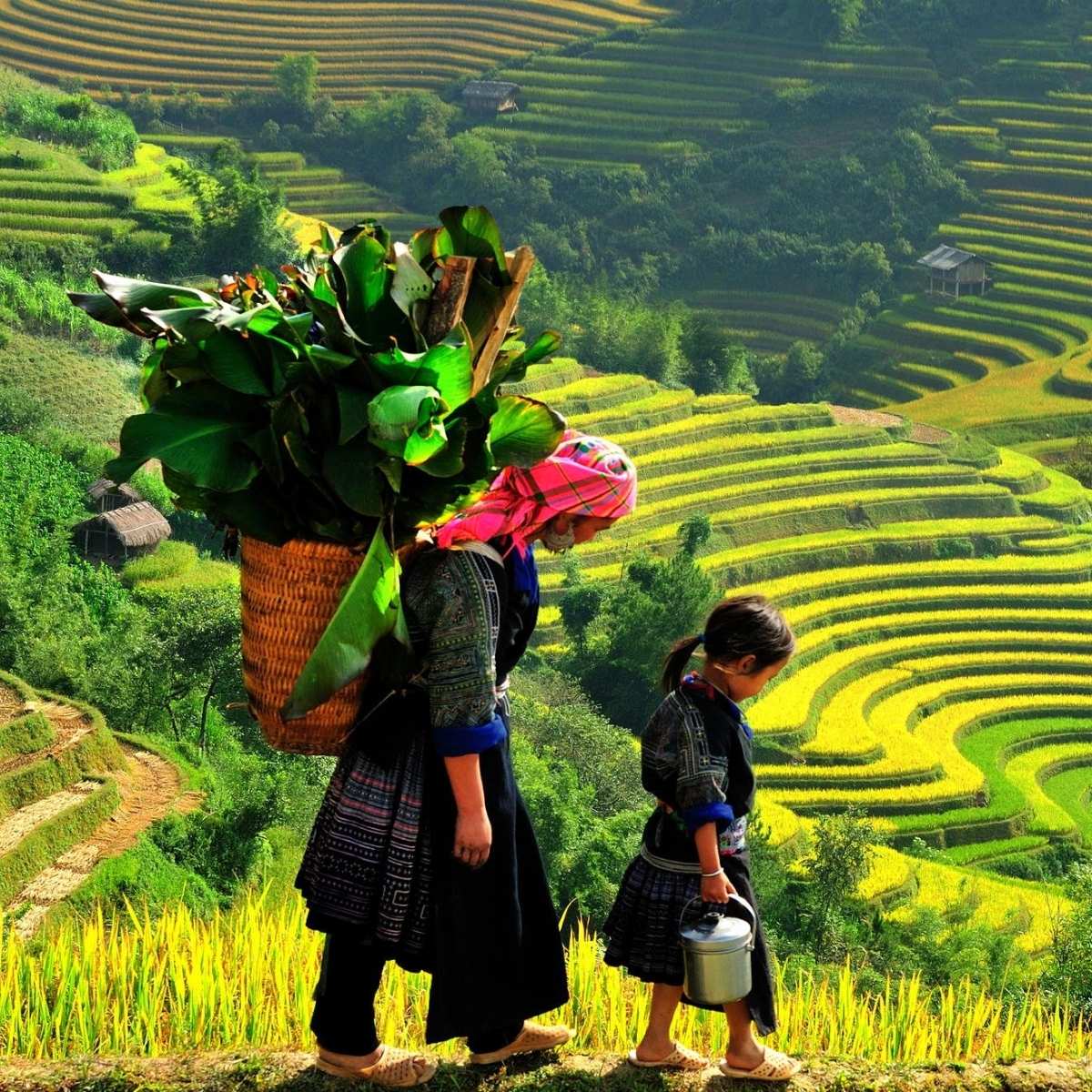 15 Days – The Best Of Vietnam 
