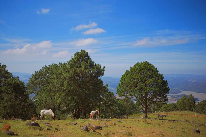 Langbiang mountain