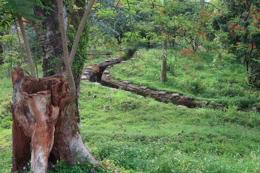 Dien Bien Phu - A1 Hill