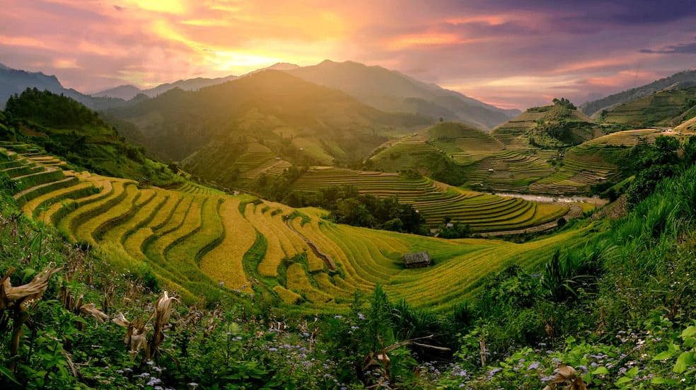 Mu Cang Chai