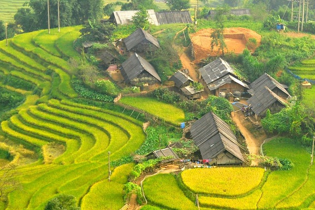 Ho Village