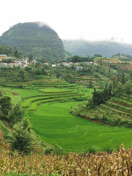 Vietnam from Mountain to Deltas & Beach. Bao Yen 2