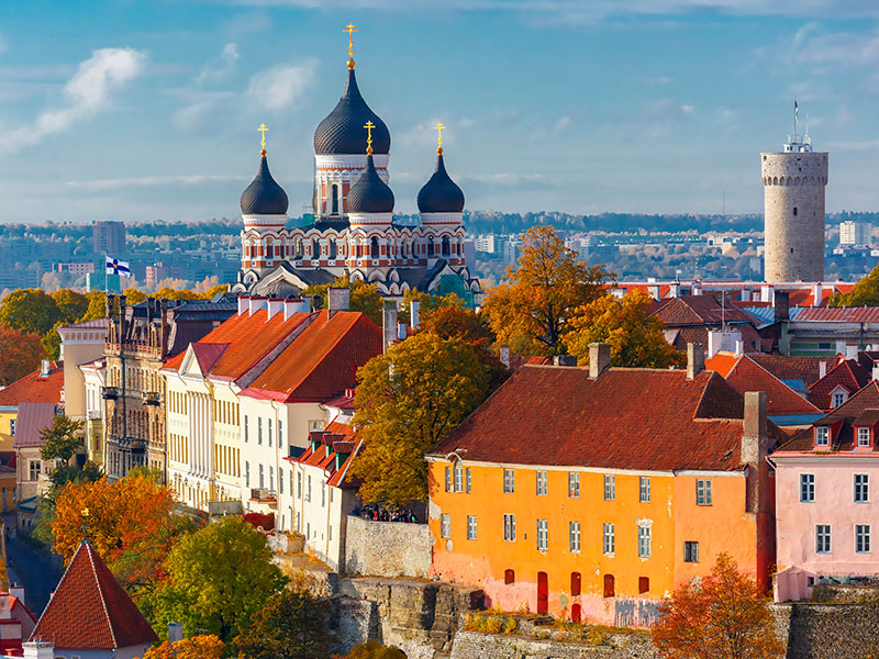 Sắc thu nhuộm vàng thành phố Tallinn trông như một bức tranh