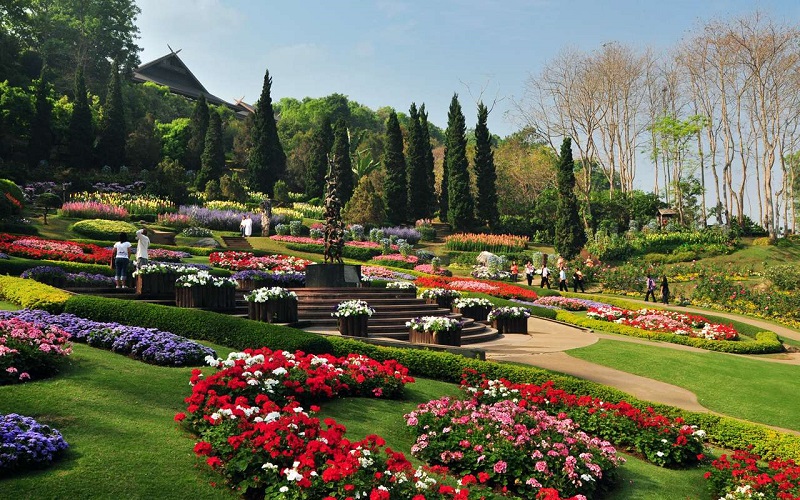 Doi Tung Chiang Rai cùng những sắc màu và cảnh quan vô cùng rực rỡ trong mùa hoa nở