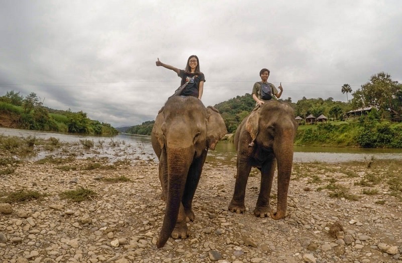 Trải nghiệm cưỡi voi tại Luang Prabang, Lào