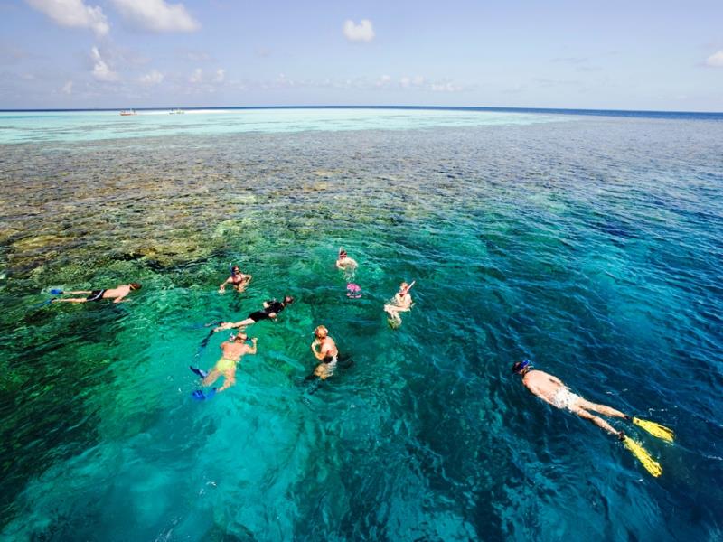 Làn nước trong veo ở Maldives là địa điểm tuyệt vời để lặn biển