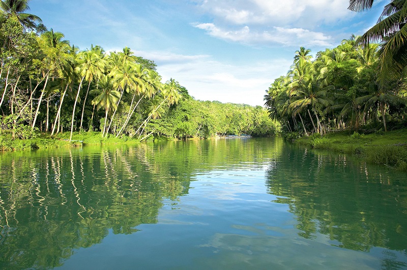 Loboc River - dòng sông ngọc ngà của đảo Bohol
