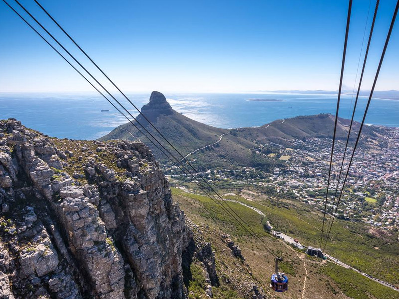 Bạn có thể lựa chọn đi cáp treo lên đỉnh Table Mountain hoặc tự trèo lên đỉnh núi