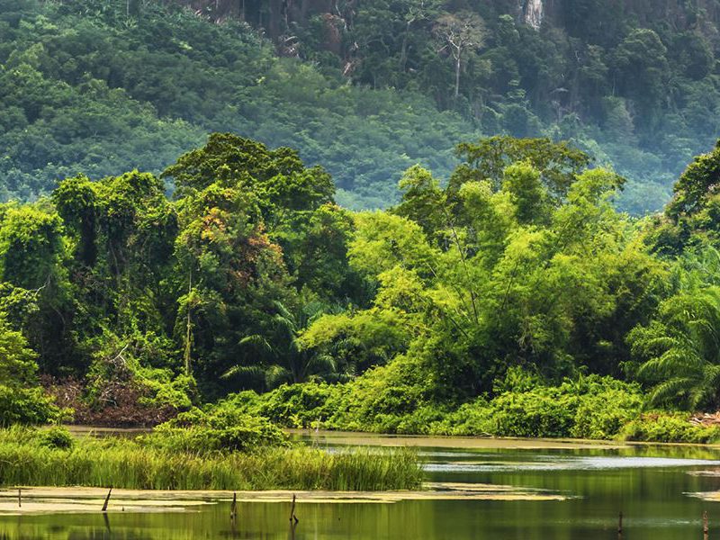 Vườn quốc gia Khao Yai được UNESSCO công nhận là di sản văn hóa thế giới