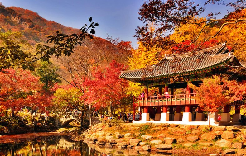 Kinh nghiệm du lịch Hàn Quốc mùa lá đỏ