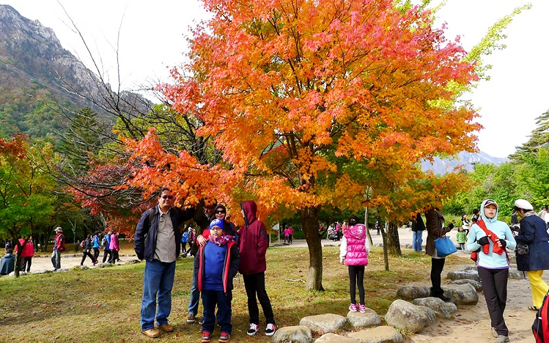 Khung cảnh rực rỡ sắc đỏ vàng ở công viên Namsan 