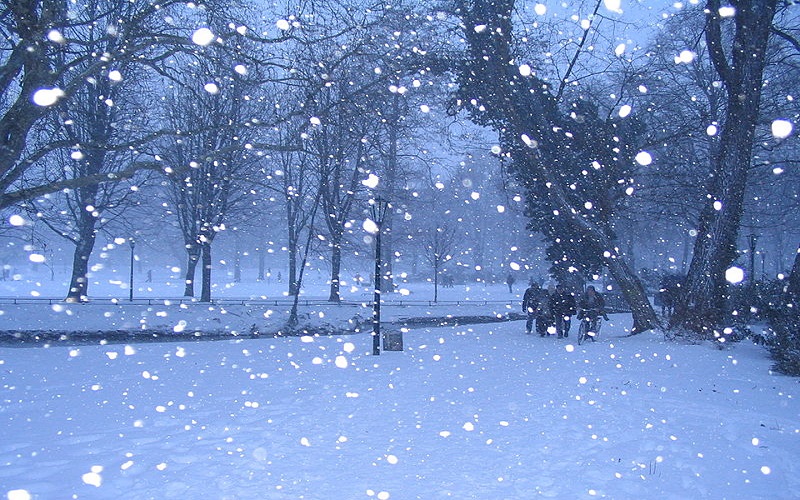 Khung cảnh vô cùng thơ mộng tại Nhật Bản mùa tuyết rơi