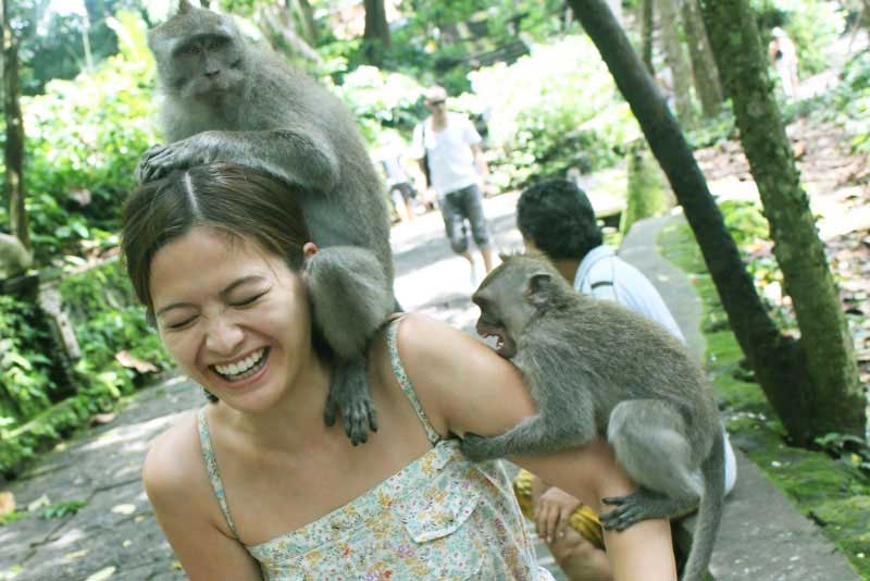 Đảo khỉ ở Indonesia 