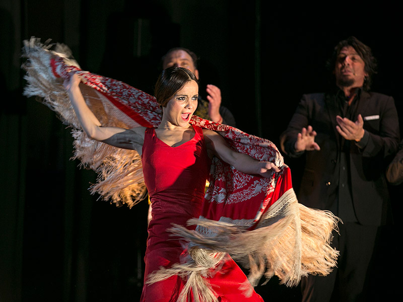 Xem vũ công nhảy Flamenco