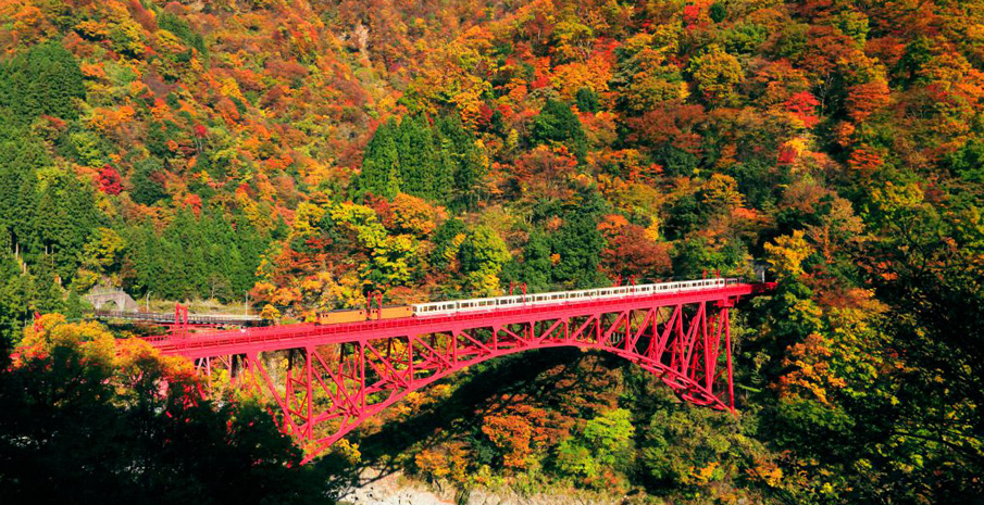 Một chiếc cầu đỏ như bị lần vào với cảnh sắc thiên nhiên