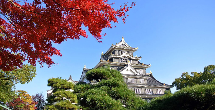 Lâu đài Okayama (Thành phố Okayama, Okayama Prefecture)