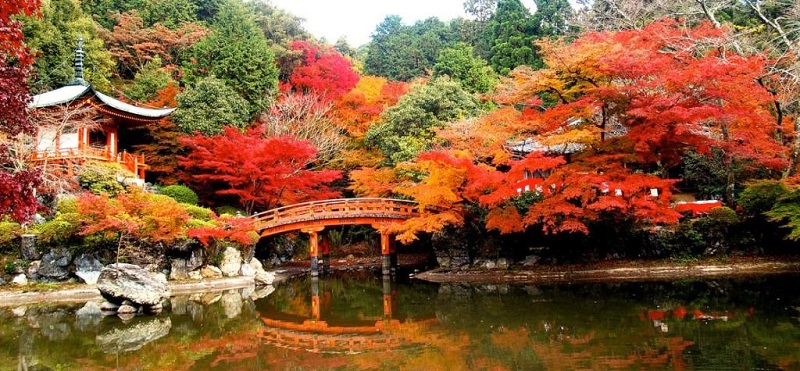 Mùa lá đỏ Momiji tại Nhật Bản