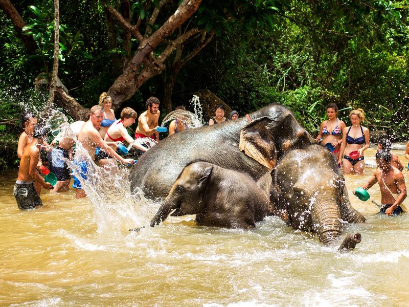 Tắm với voi ở Thái Lan