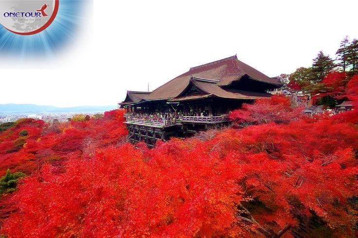 5 lý do để đi du lịch Nhật Bản mùa thu