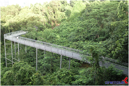 Southern Ridges - Du lịch Singapore